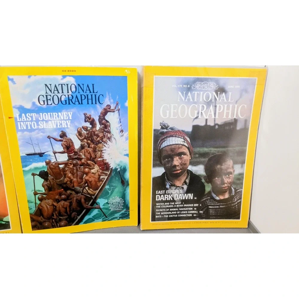 Vintage National Geographic Magazine Lot 8 Issues 1991-2020 Yellow / Science
